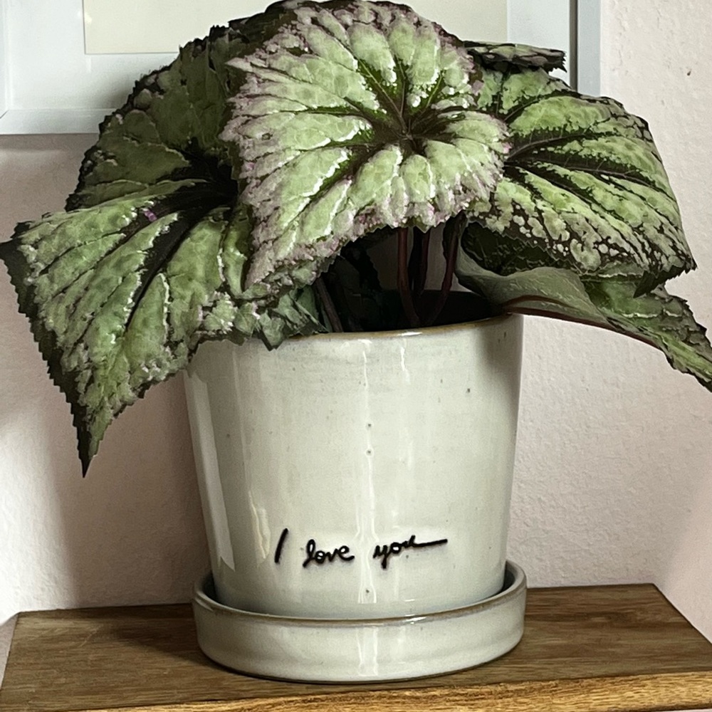 Hearth & Hand ‘I Love You’ Planter